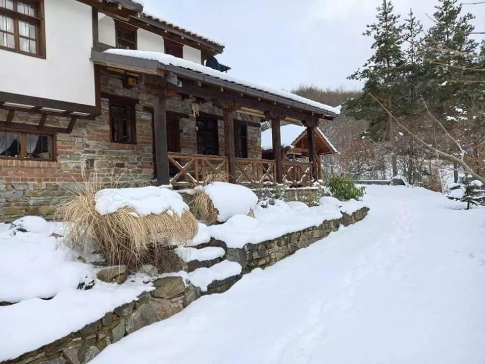 Traditional Cottage - Vila Samovila Delcevo Εξωτερικό φωτογραφία