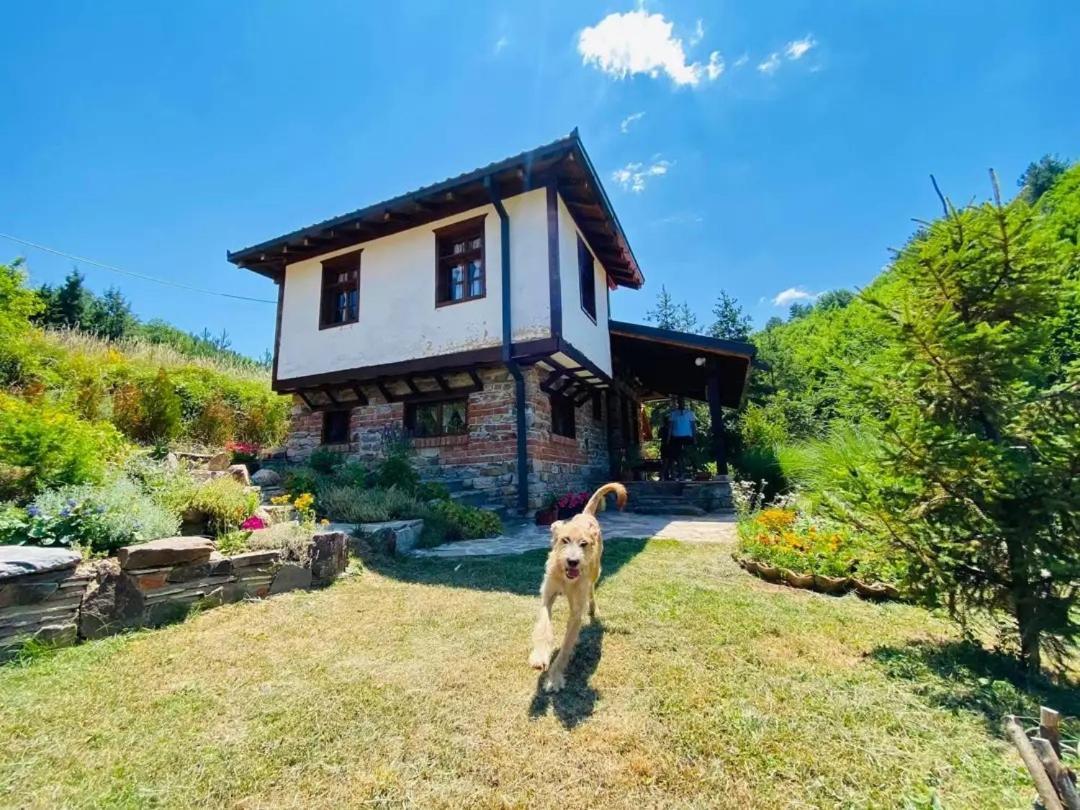 Traditional Cottage - Vila Samovila Delcevo Εξωτερικό φωτογραφία