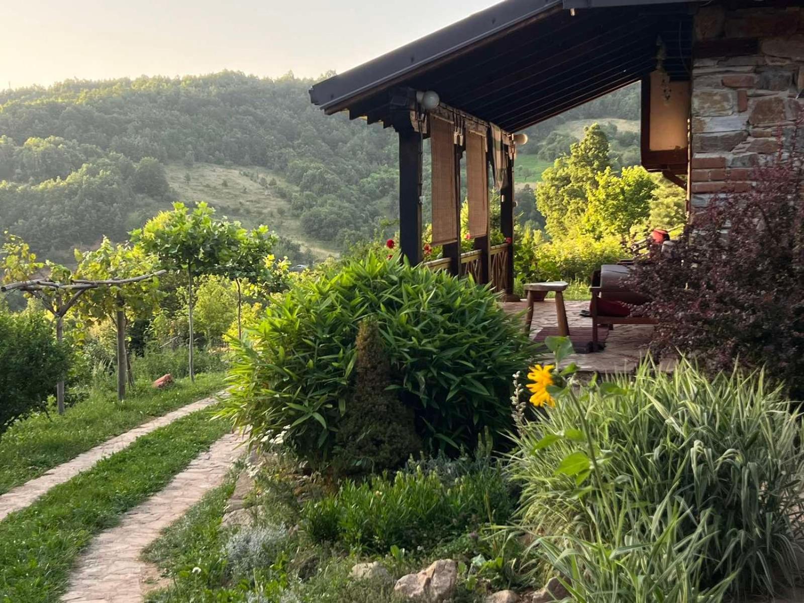 Traditional Cottage - Vila Samovila Delcevo Εξωτερικό φωτογραφία