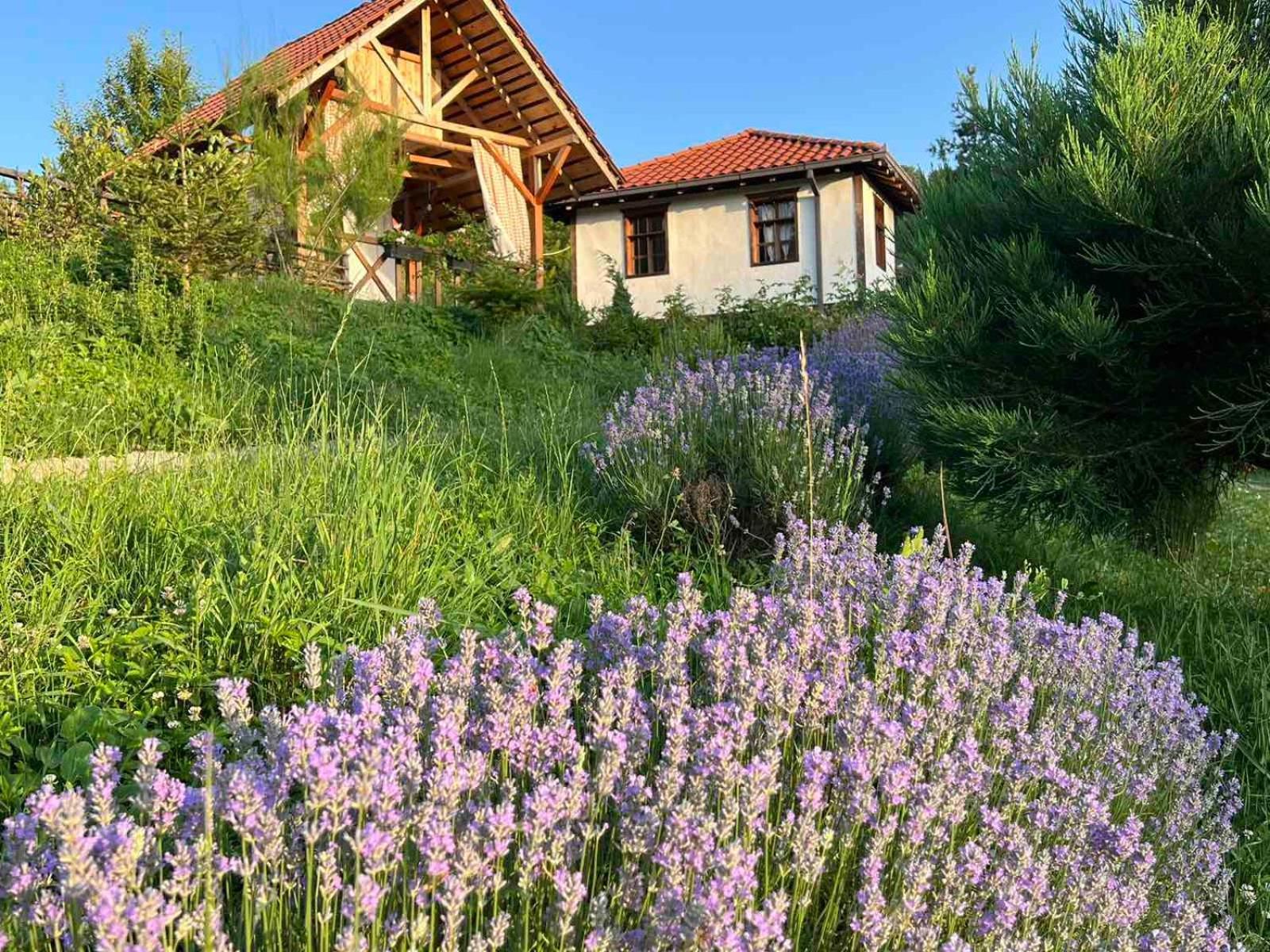 Traditional Cottage - Vila Samovila Delcevo Εξωτερικό φωτογραφία