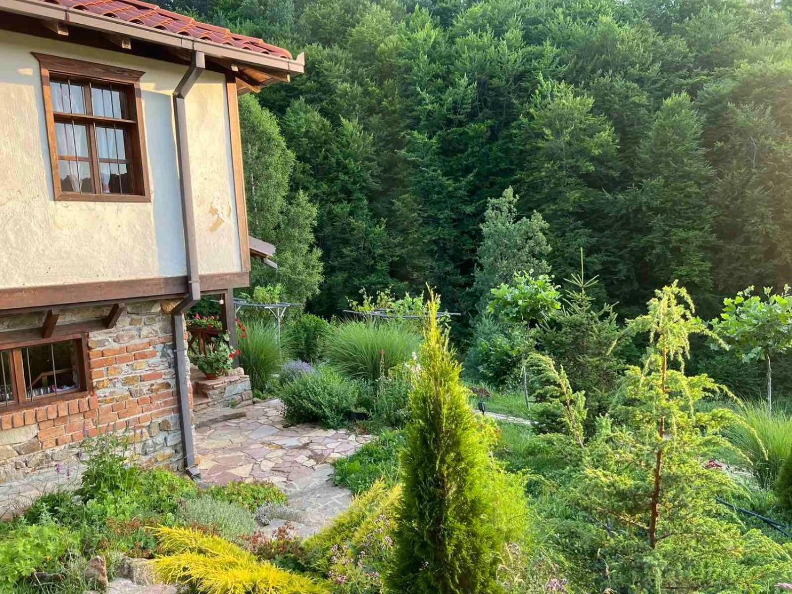 Traditional Cottage - Vila Samovila Delcevo Εξωτερικό φωτογραφία