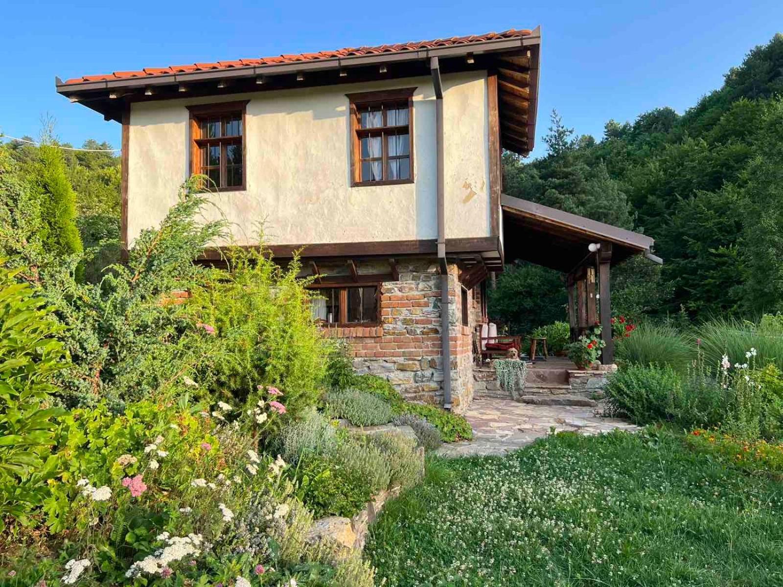 Traditional Cottage - Vila Samovila Delcevo Εξωτερικό φωτογραφία